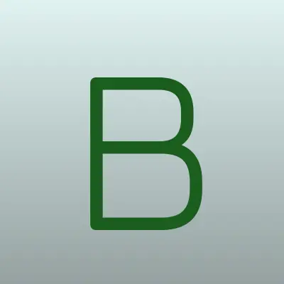 Бирмир, торговая компания, лого-визитка