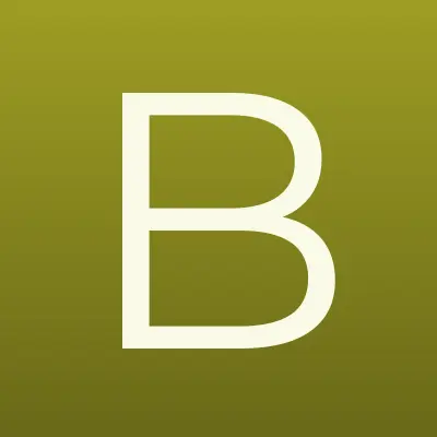 Bright Clean, студия детейлинга, лого-визитка