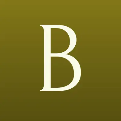 Business Travel Partners, туристическое агентство, лого-визитка