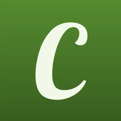 Чисто, клининговая компания, лого-визитка