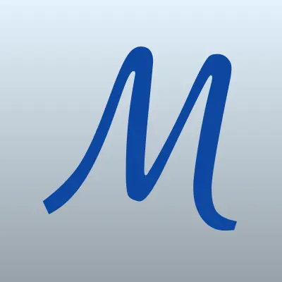 Магазин электро и бензоинструмента, официальный представитель Metabo, лого-визитка