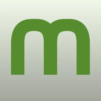 Мегафон, оператор связи, лого-визитка
